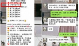 圈内爆料公众号违法吗怎么举报,举报途径全解析